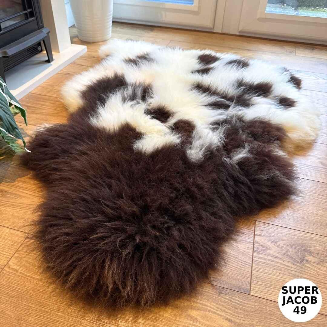 100% British Supersize Jacob Undyed Rare Breed Sheepskin Rug - Super Jacob 49