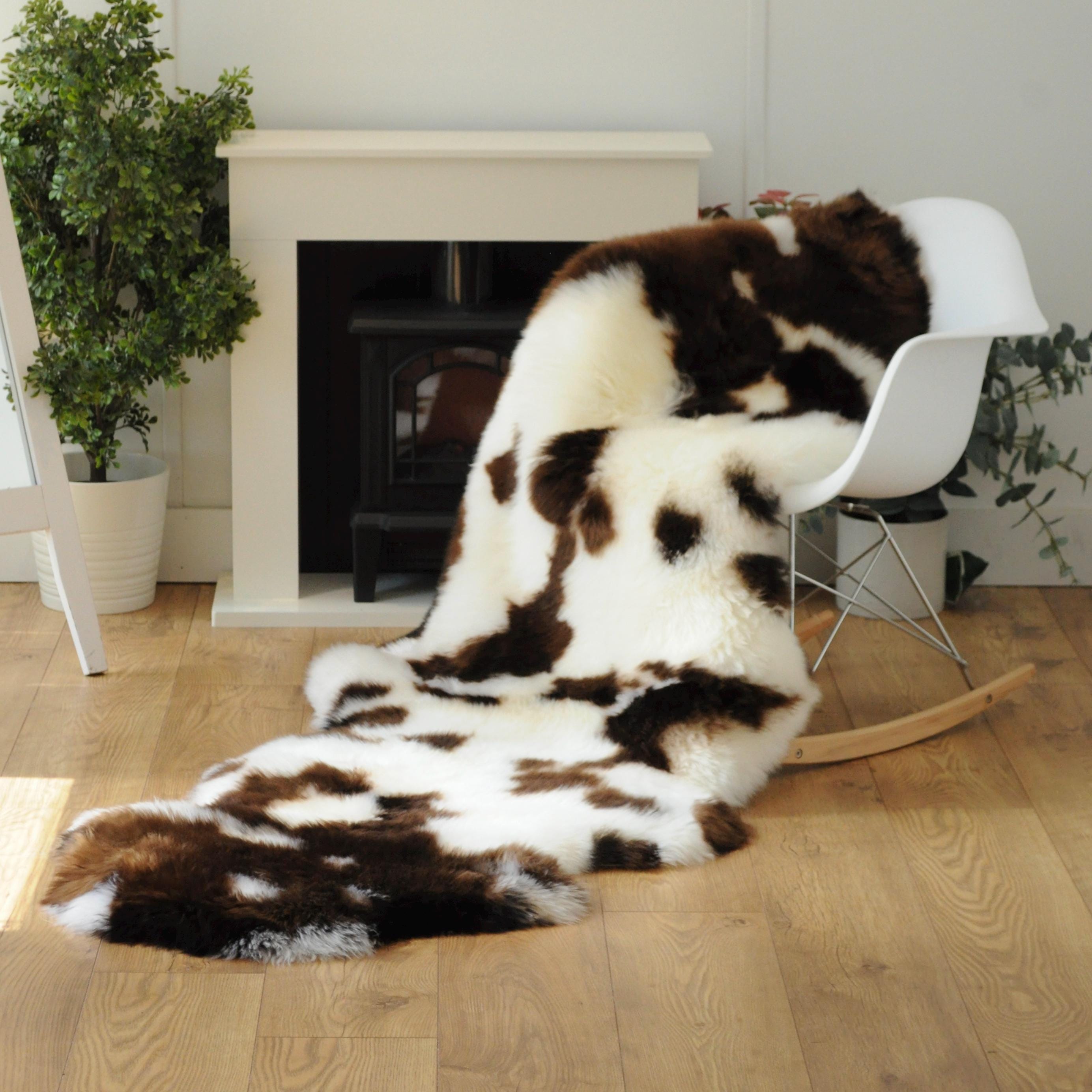 Sheepland Double Long Fur Sheepskin Rugs - Dyed Jacob Style