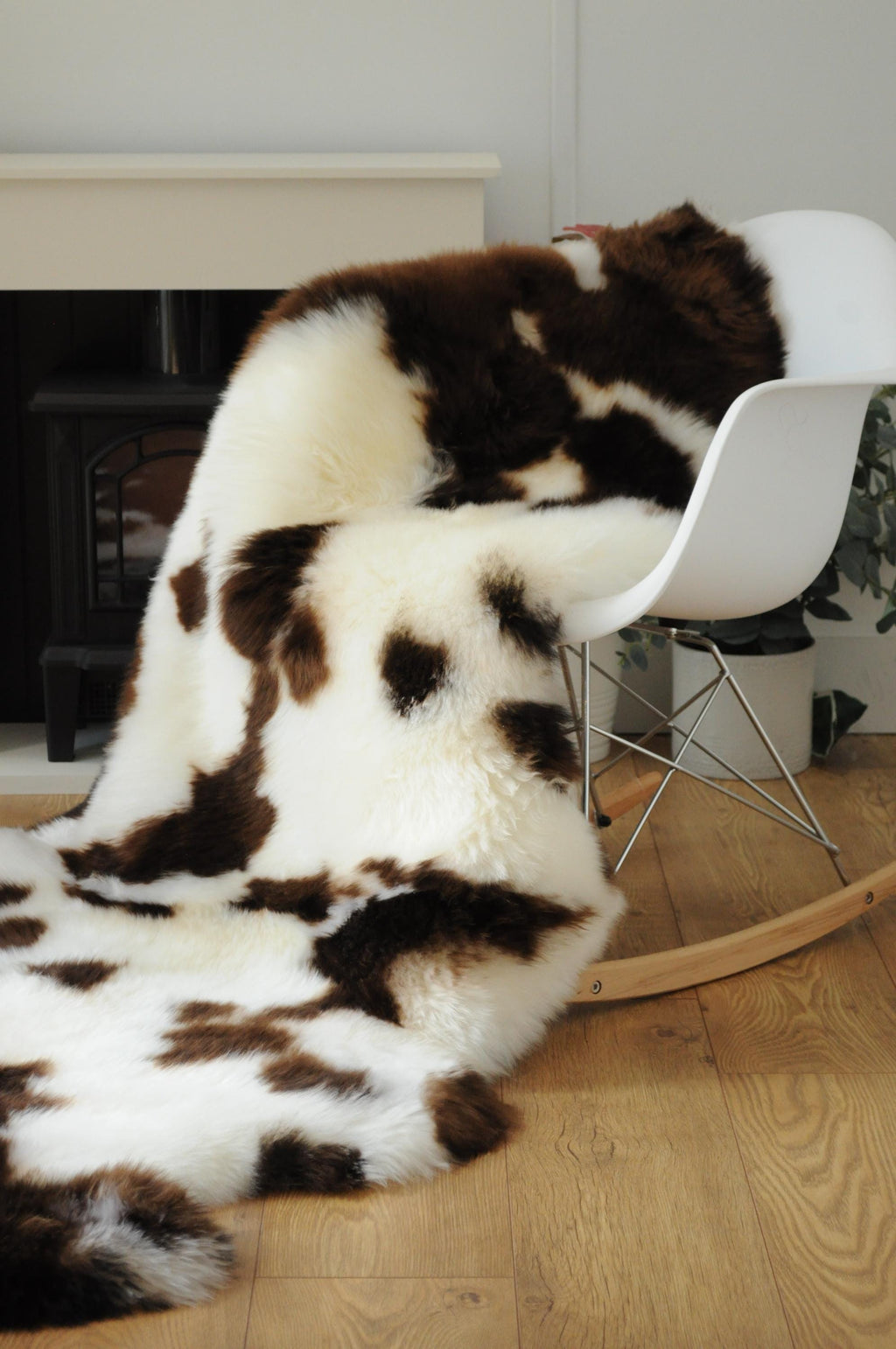 Sheepland Double Long Fur Sheepskin Rugs - Dyed Jacob Style