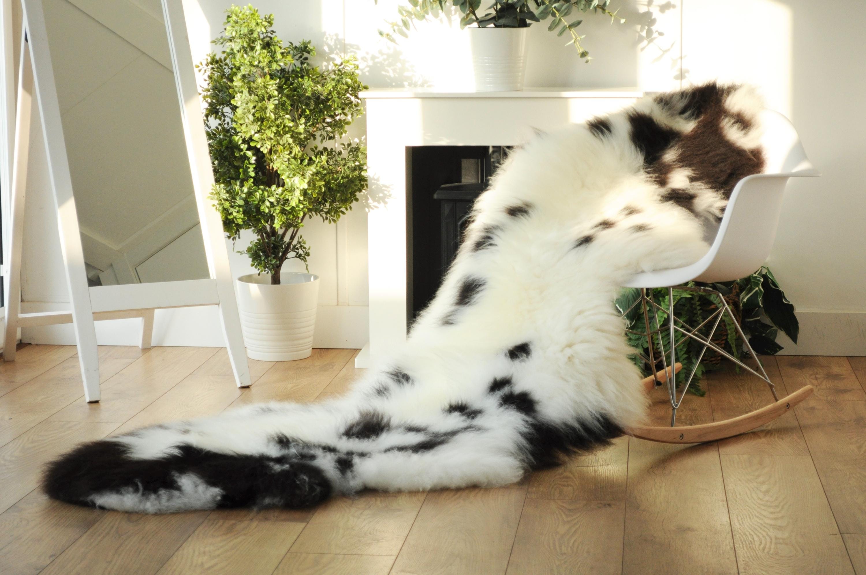 100% British Jacob Undyed Rare Breed Supersize Sheepskin Double Rug - Handmade in Somerset
