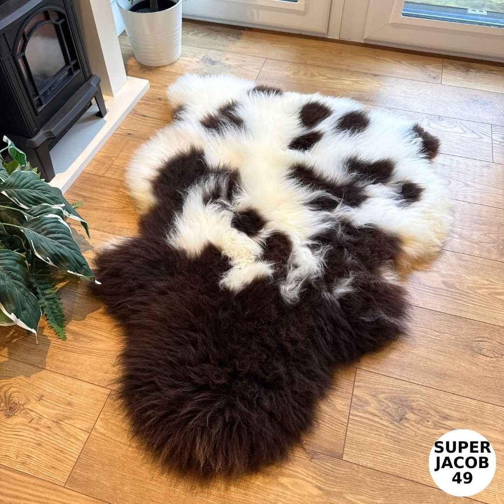 100% British Supersize Jacob Undyed Rare Breed Sheepskin Rug - Super Jacob 49