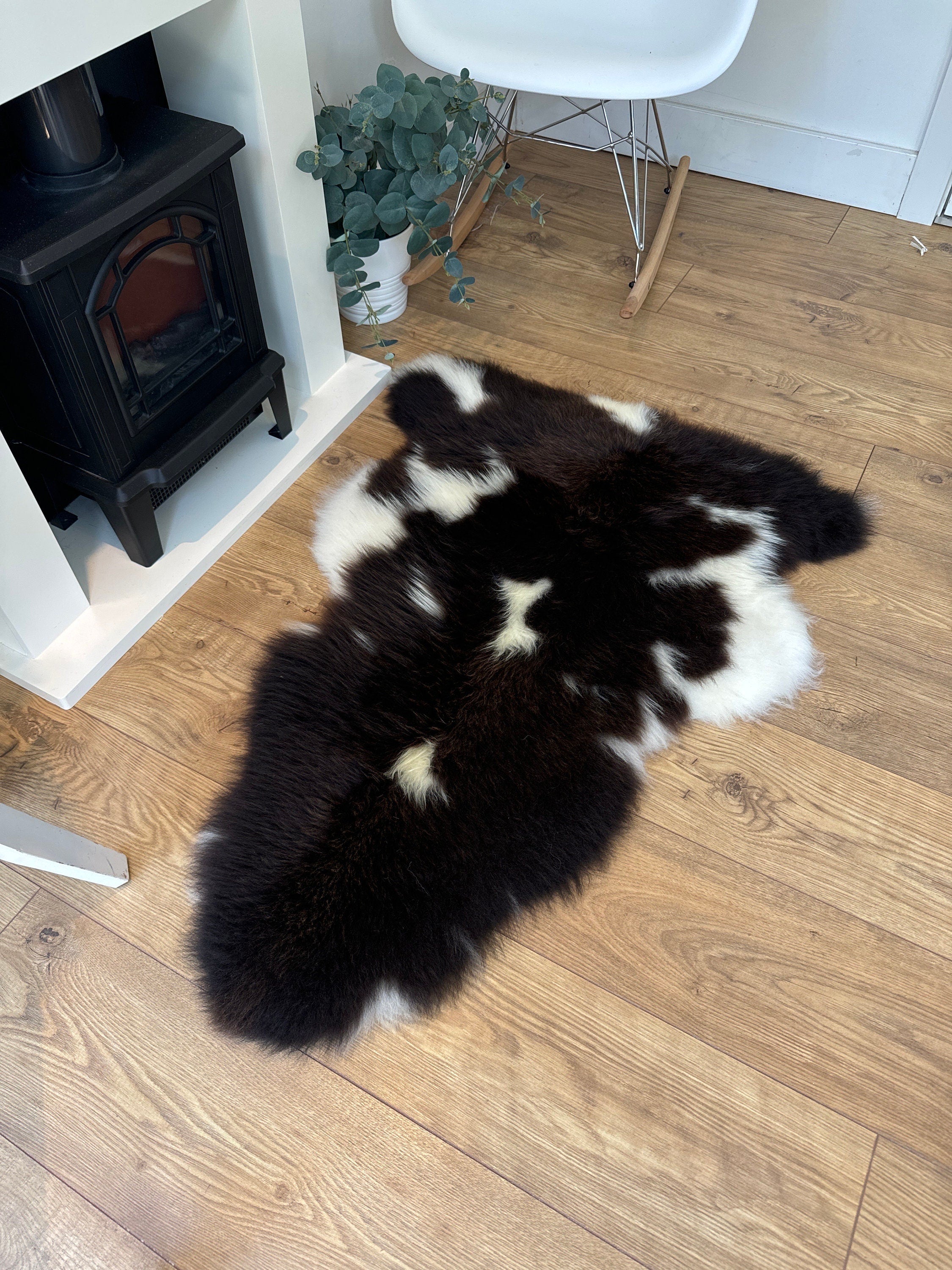 100% British Regular Jacob Undyed Rare Breed Sheepskin Rug - Reg Jacob 22