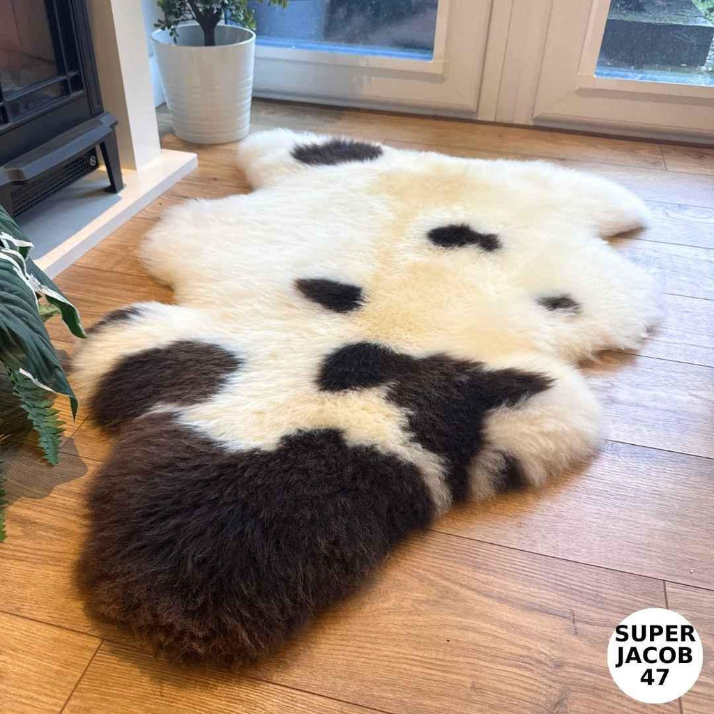 100% British Supersize Jacob Undyed Rare Breed Sheepskin Rug - Super Jacob 47