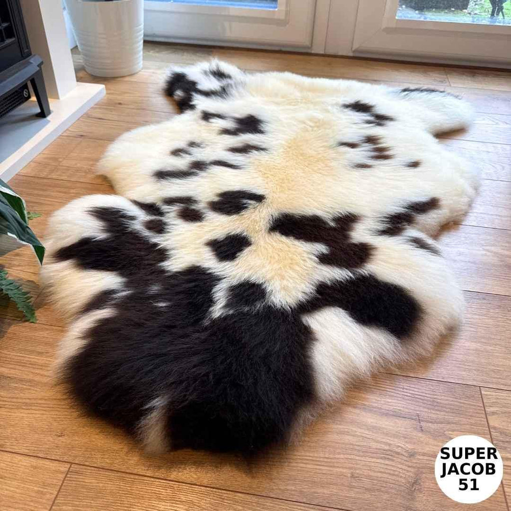 100% British Supersize Jacob Undyed Rare Breed Sheepskin Rug - Super Jacob 51