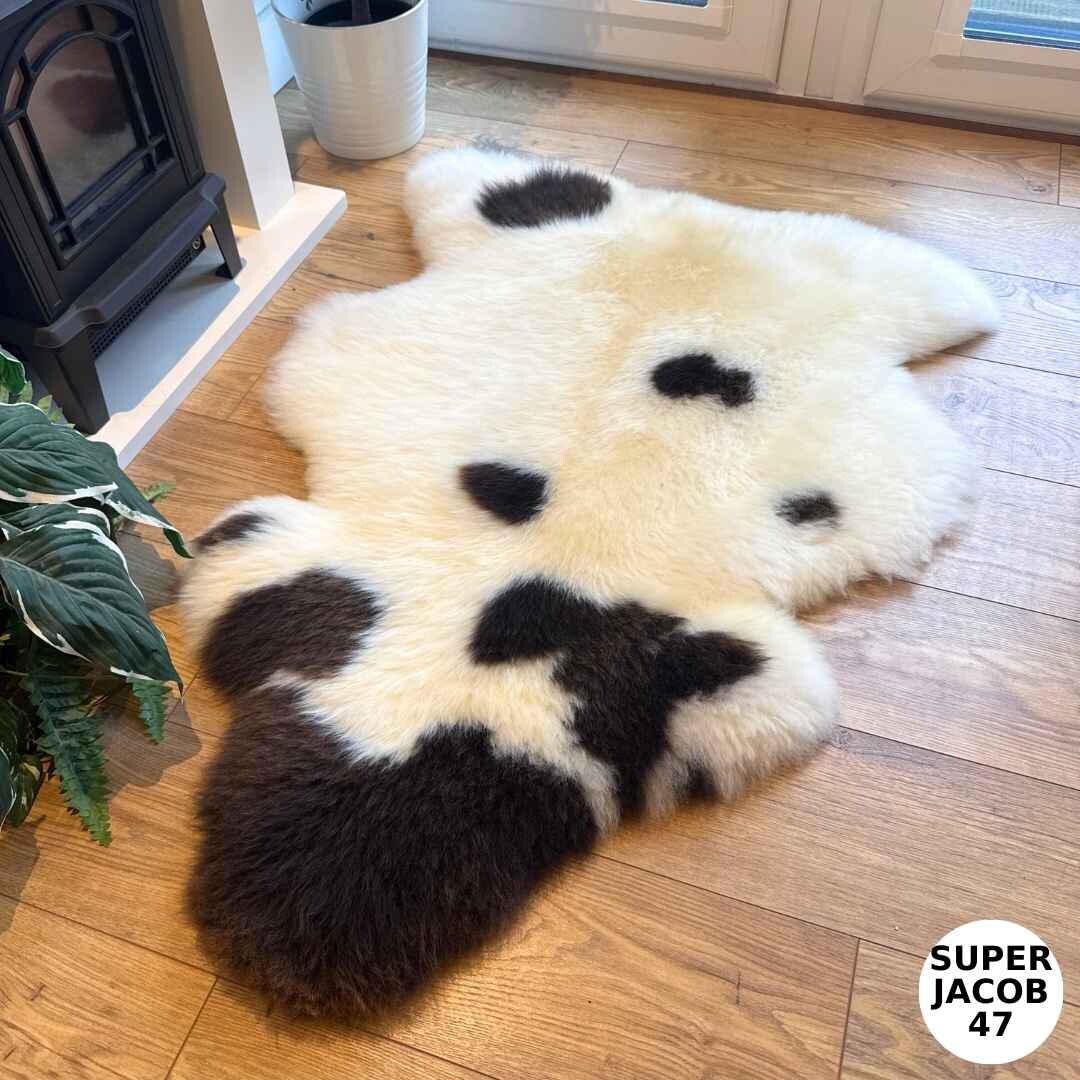 100% British Supersize Jacob Undyed Rare Breed Sheepskin Rug - Super Jacob 47