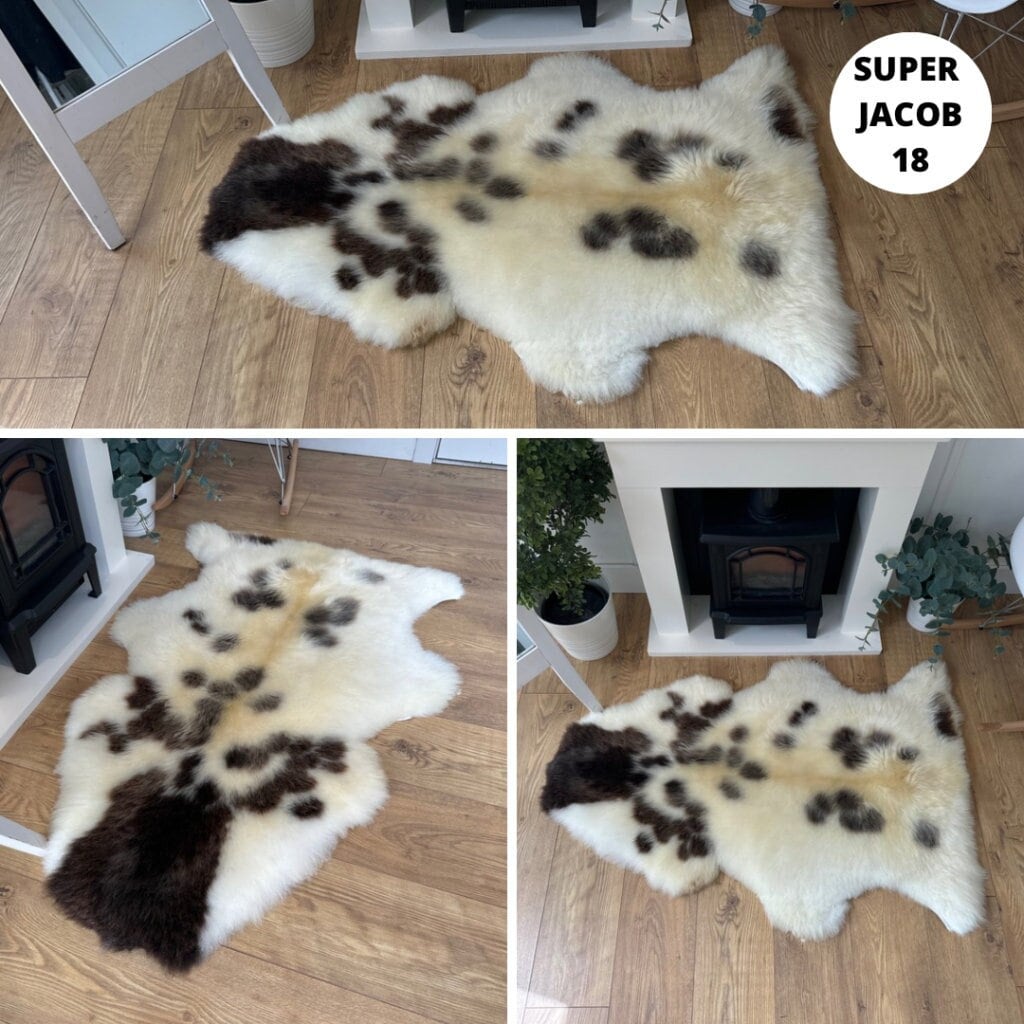 100% British Supersize Jacob Undyed Rare Breed Sheepskin Rug - Super Jacob 18
