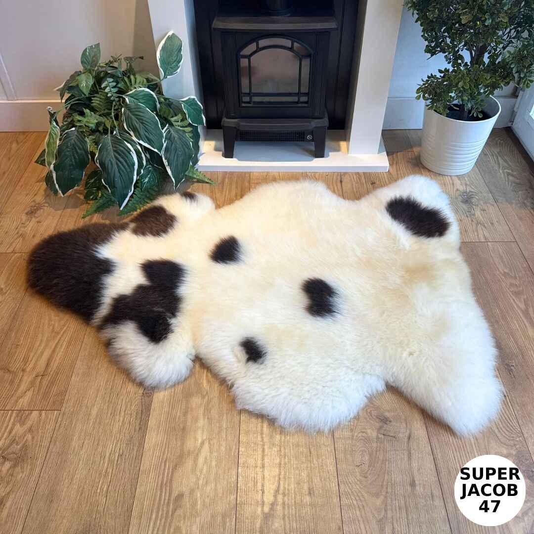 100% British Supersize Jacob Undyed Rare Breed Sheepskin Rug - Super Jacob 47