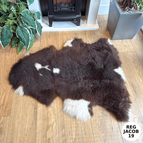 100% British Regular Jacob Undyed Rare Breed Sheepskin Rug - Reg Jacob 19