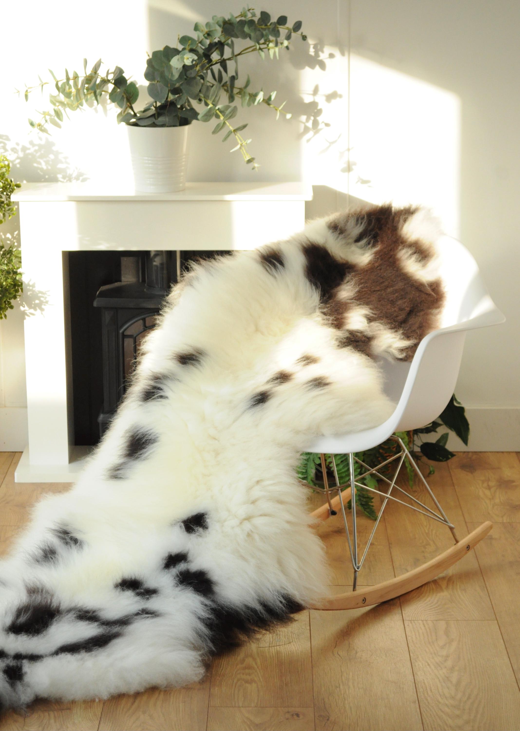 100% British Jacob Undyed Rare Breed Supersize Sheepskin Double Rug - Handmade in Somerset