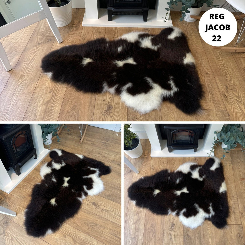 100% British Regular Jacob Undyed Rare Breed Sheepskin Rug - Reg Jacob 22