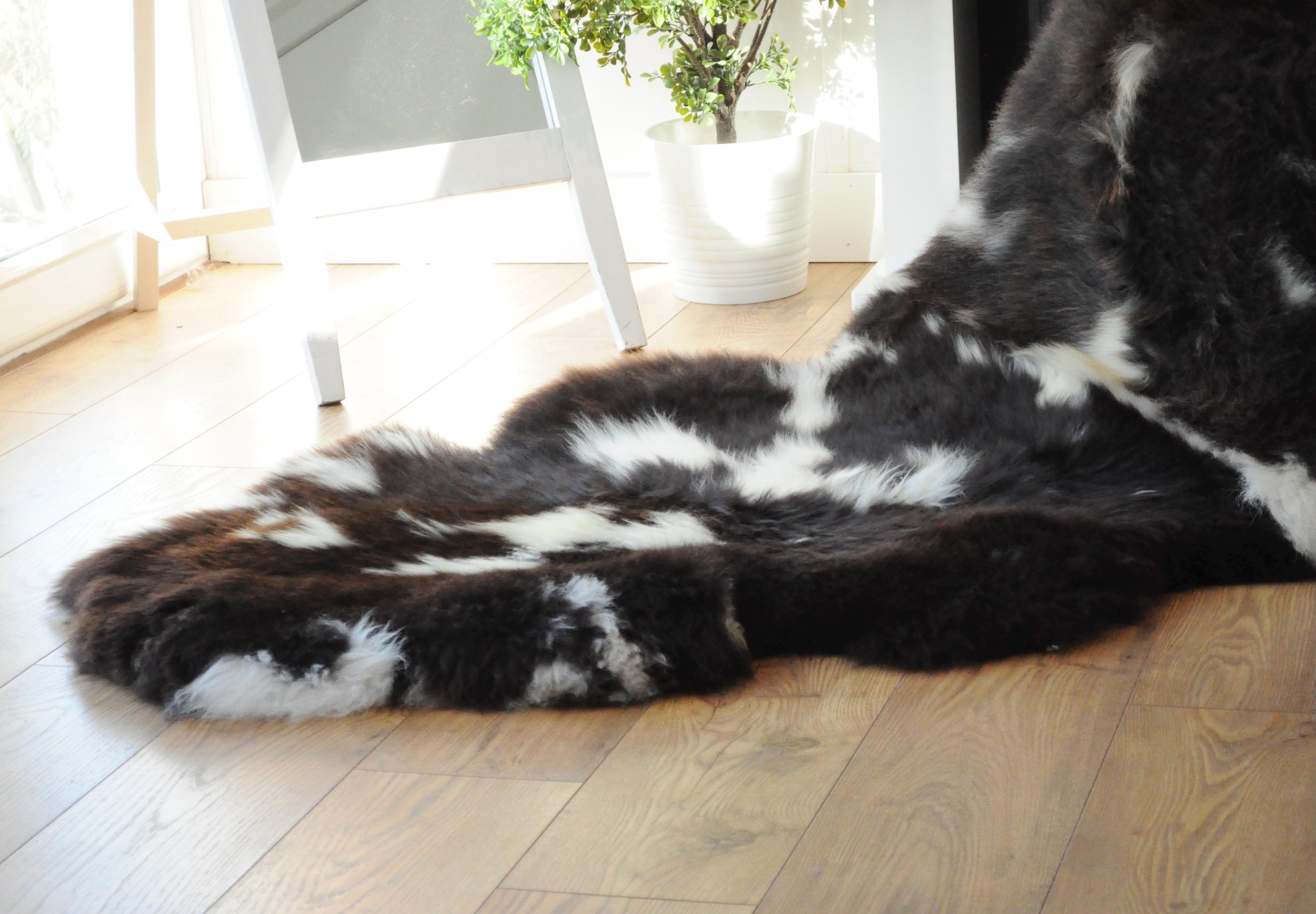 100% British Jacob Undyed Rare Breed Supersize Sheepskin Double Rug - Handmade in Somerset