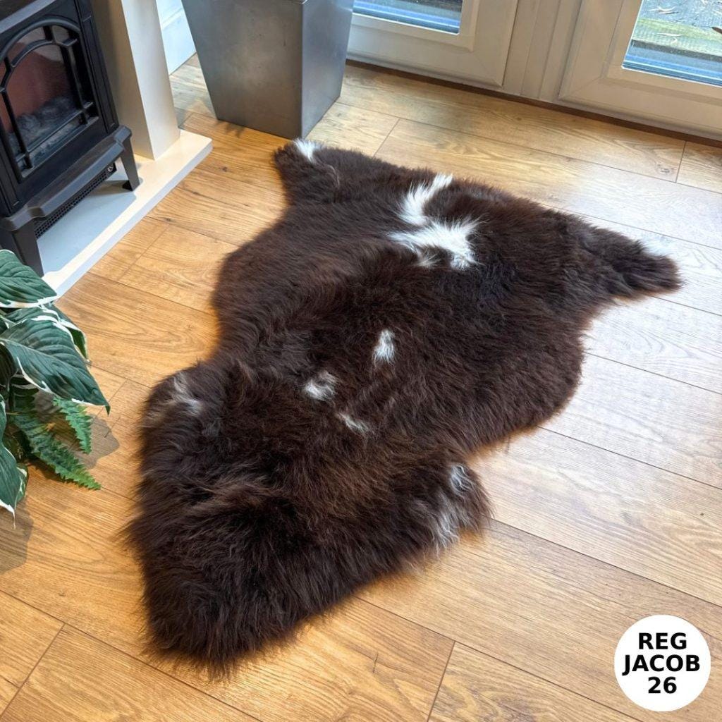 100% British Regular Jacob Undyed Rare Breed Sheepskin Rug - Reg Jacob 26