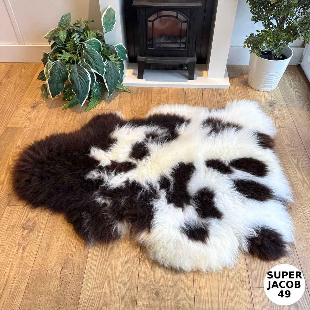 100% British Supersize Jacob Undyed Rare Breed Sheepskin Rug - Super Jacob 49