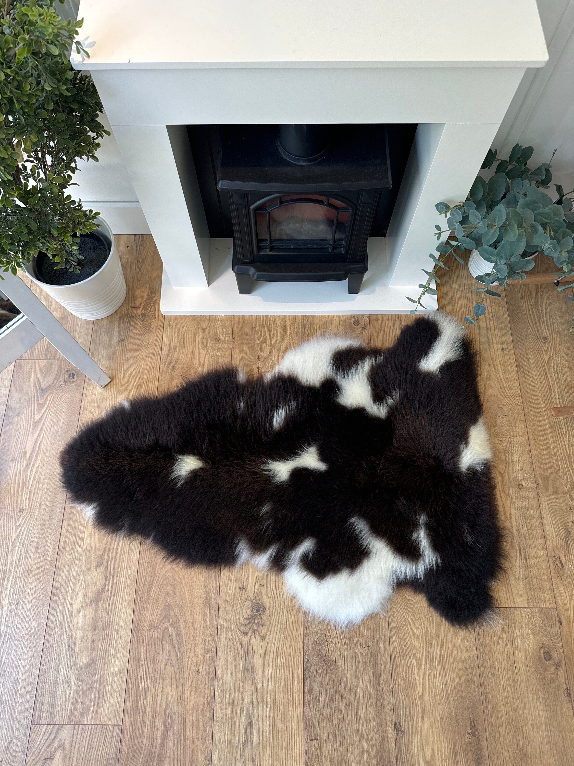 100% British Regular Jacob Undyed Rare Breed Sheepskin Rug - Reg Jacob 22