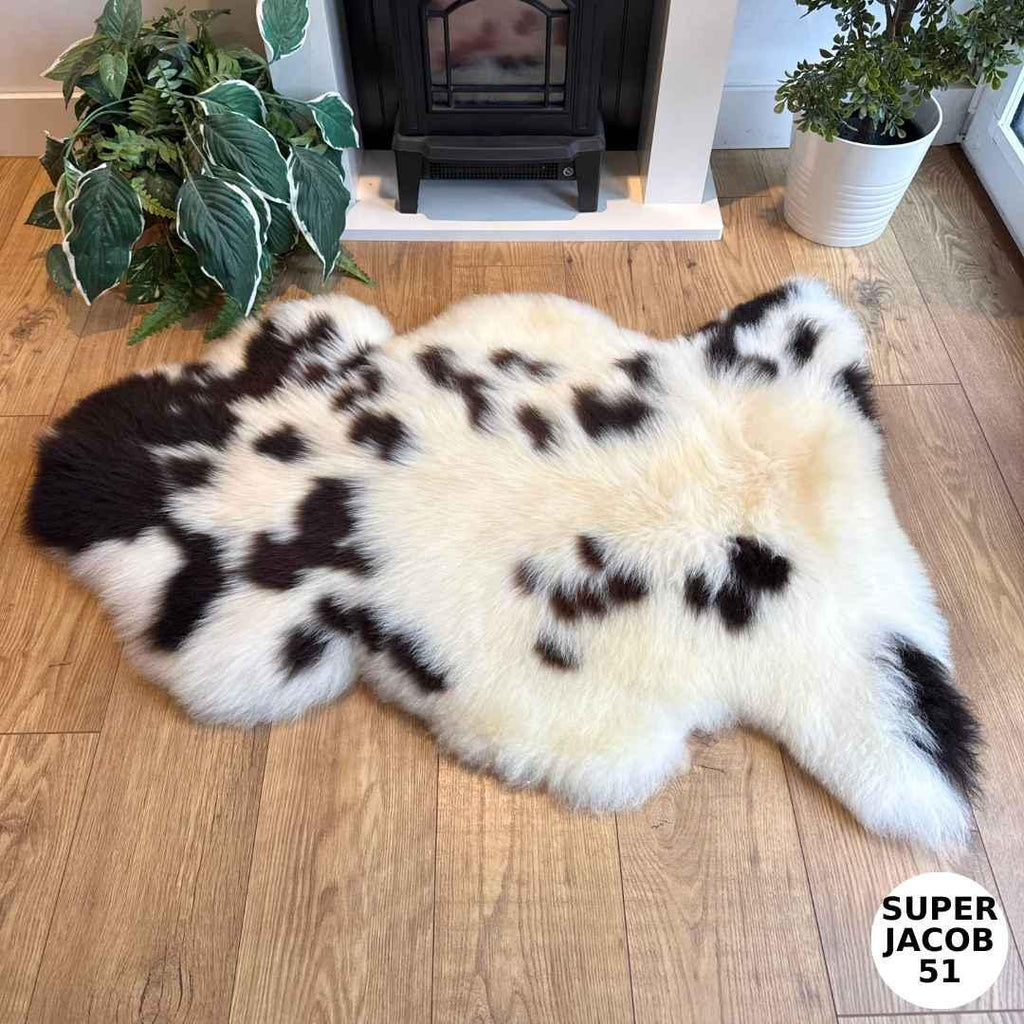 100% British Supersize Jacob Undyed Rare Breed Sheepskin Rug - Super Jacob 51
