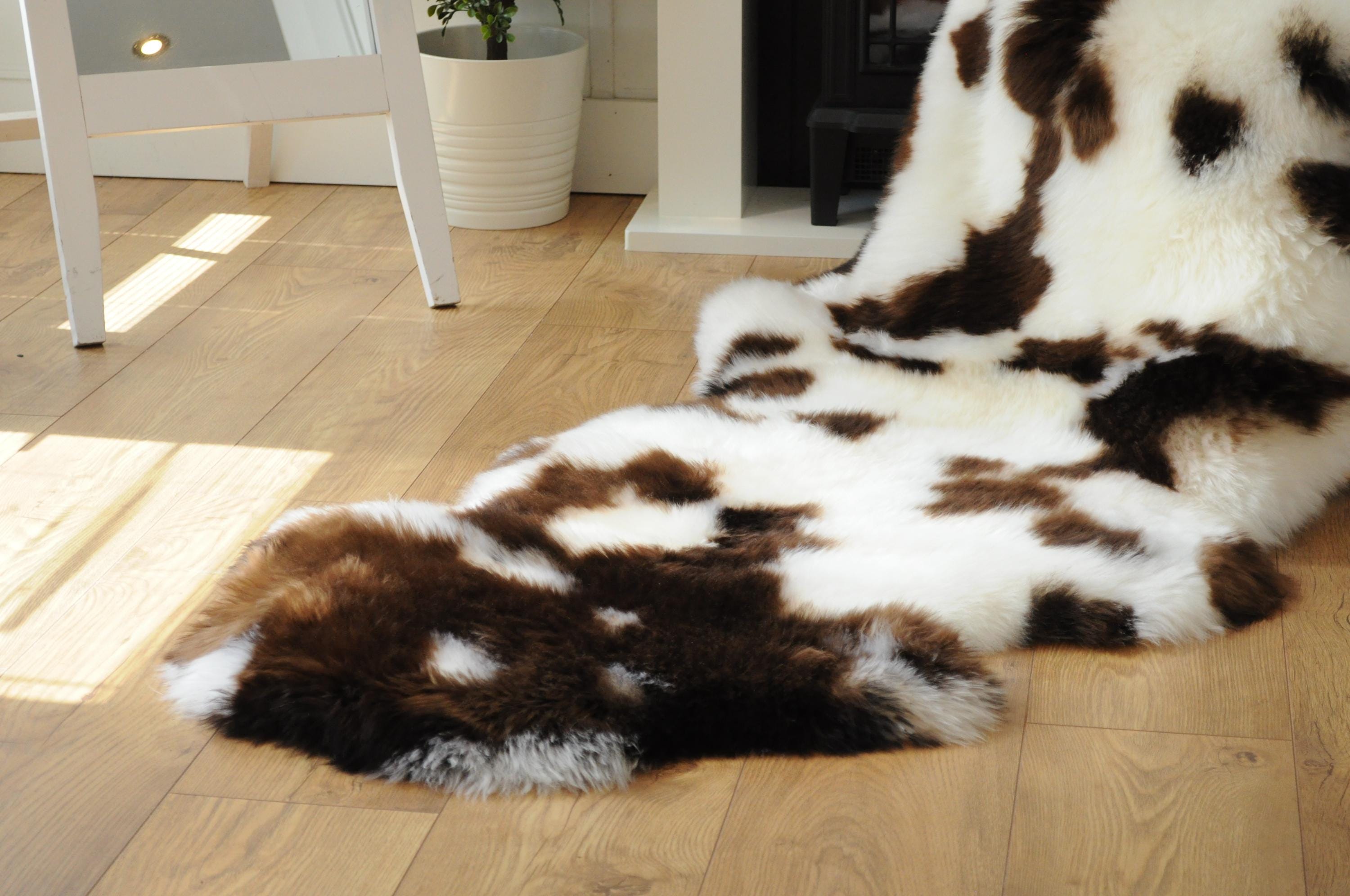 Sheepland Double Long Fur Sheepskin Rugs - Dyed Jacob Style