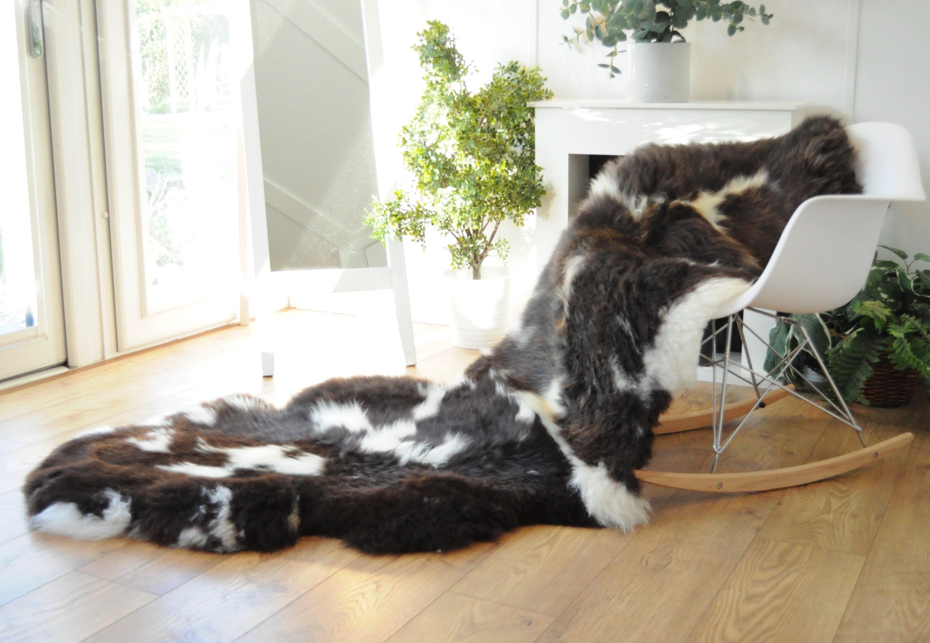 100% British Jacob Undyed Rare Breed Supersize Sheepskin Double Rug - Handmade in Somerset