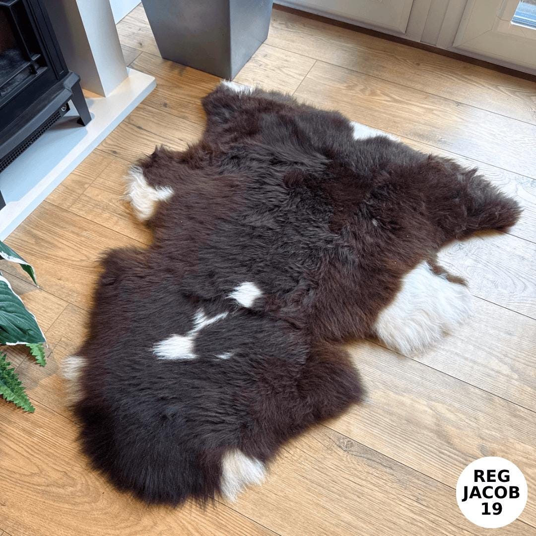 100% British Regular Jacob Undyed Rare Breed Sheepskin Rug - Reg Jacob 19
